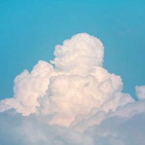 美国人与动ⅩXXZOOP
